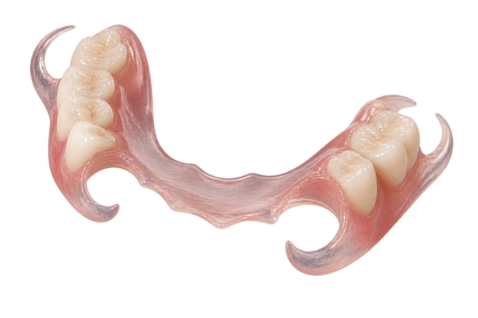 FP3D flexible partial denture